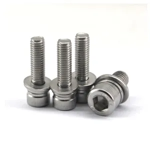 10Pcs M10x16 Stainelss Steel Screws and Nuts and Washers Set, Hex Socket Cap Head Screws Fastener Assrotment Kit
