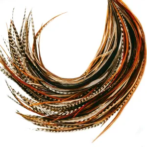 21 Natural Color Hair Feathers - 9"-14" Long - Extension DIY Kit - Eye-Catching Design - 20 Micro-link Beads - 100% Real Rooster Feathers - Professional Color