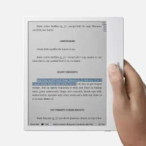 BOOX Tablet Go Color 7 ePaper E Ink Tablet 4G 64G Front Light (White)