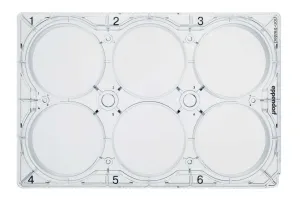 Eppendorf 30720121 Cell Culture Plate, 6-Well, with Lid, Flat Bottom, Sterile, TC Treated (Pack of 200)