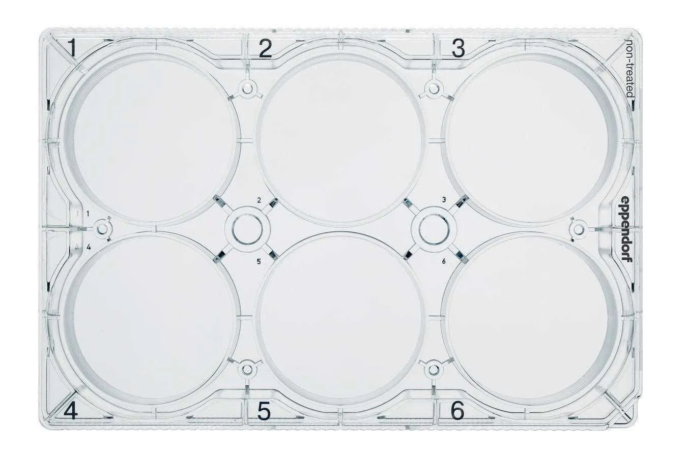 Eppendorf 30720121 Cell Culture Plate, 6-Well, with Lid, Flat Bottom, Sterile, TC Treated (Pack of 200)