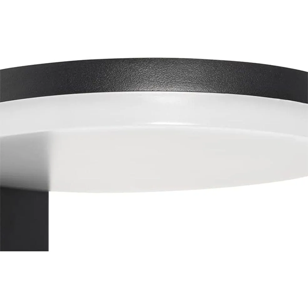 Flat Wall Light