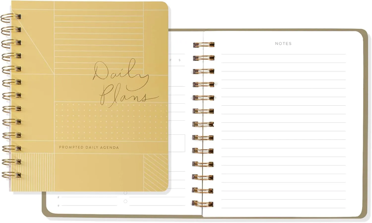 Fringe Non-Dated Daily Planner, 160 Pages, 6 x 7.25 Inches, PAS Daily Grid (877101)