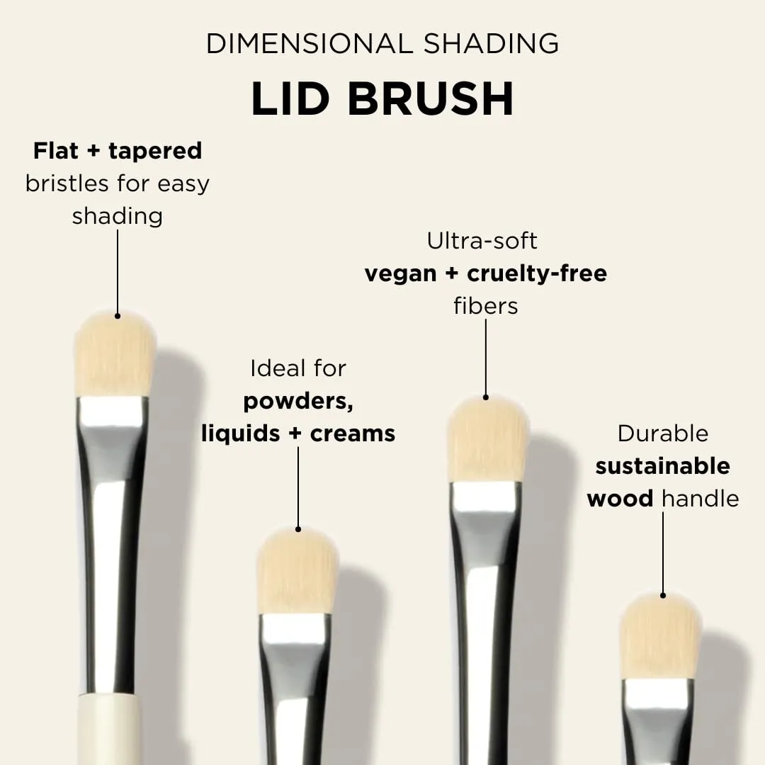 HALEYS Lid Eyeshadow Brush, Medium Flat Tapered Brush, Easy Blending and Shading for Building Eyeshadow Color, High-end Synthetic Bristles, Multi-tasking, for Cream and Powder Makeup, Vegan   CF
