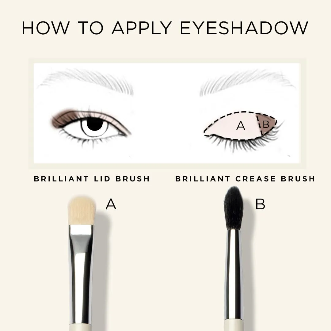 HALEYS Lid Eyeshadow Brush, Medium Flat Tapered Brush, Easy Blending and Shading for Building Eyeshadow Color, High-end Synthetic Bristles, Multi-tasking, for Cream and Powder Makeup, Vegan   CF