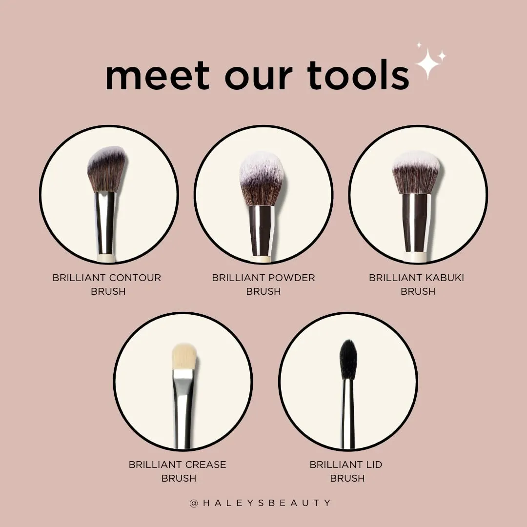 HALEYS Lid Eyeshadow Brush, Medium Flat Tapered Brush, Easy Blending and Shading for Building Eyeshadow Color, High-end Synthetic Bristles, Multi-tasking, for Cream and Powder Makeup, Vegan   CF