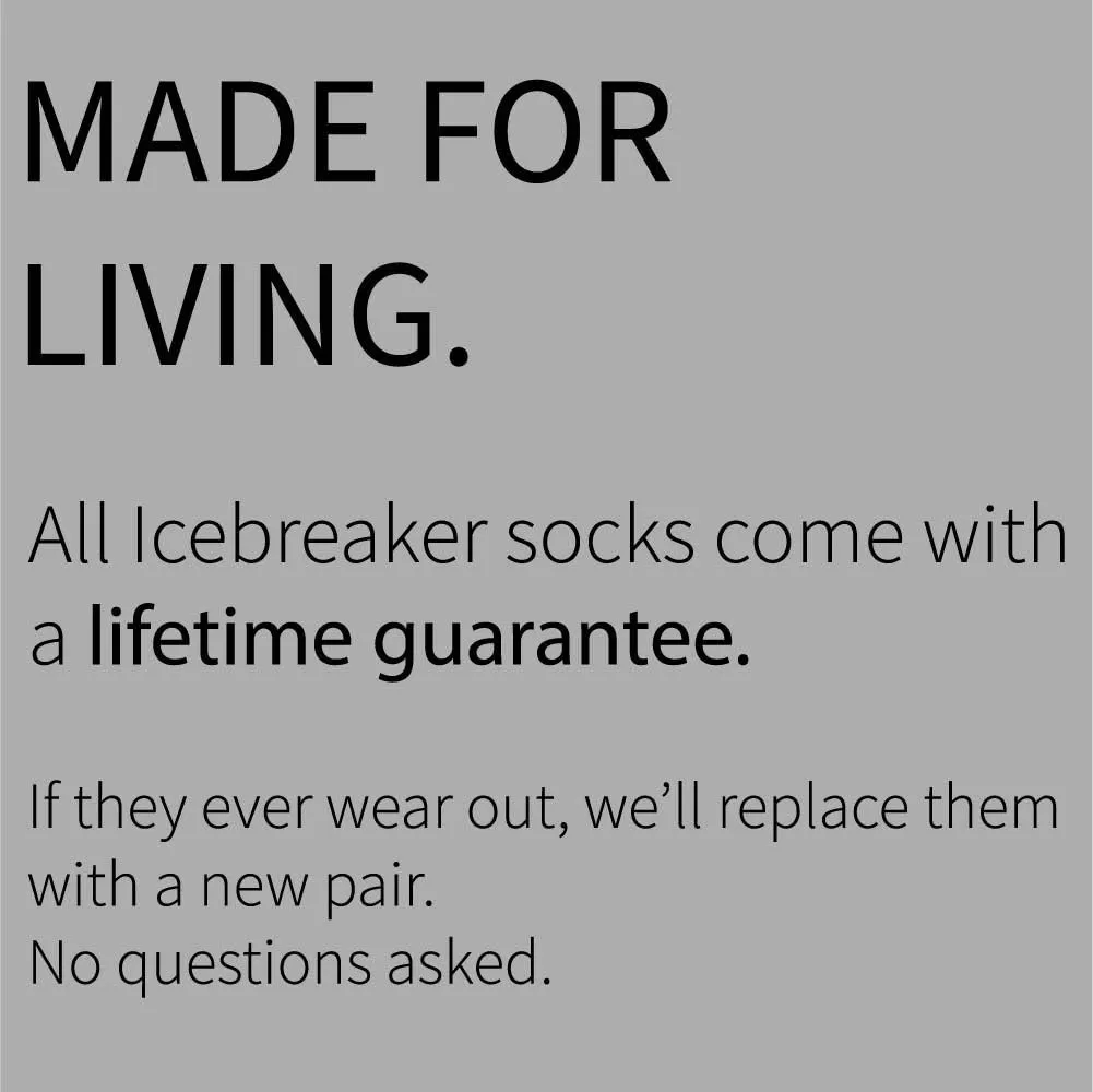 Icebreaker Merino Men's Lifestyle Crew Light Cushion Casual Wool Socks