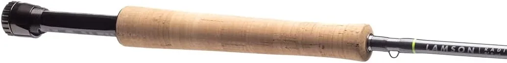 LAMSON | Radius Moderate/Medium Fast Action Fly Fishing Rod | Freshwater | 4-Piece 9 Foot, w/Tube