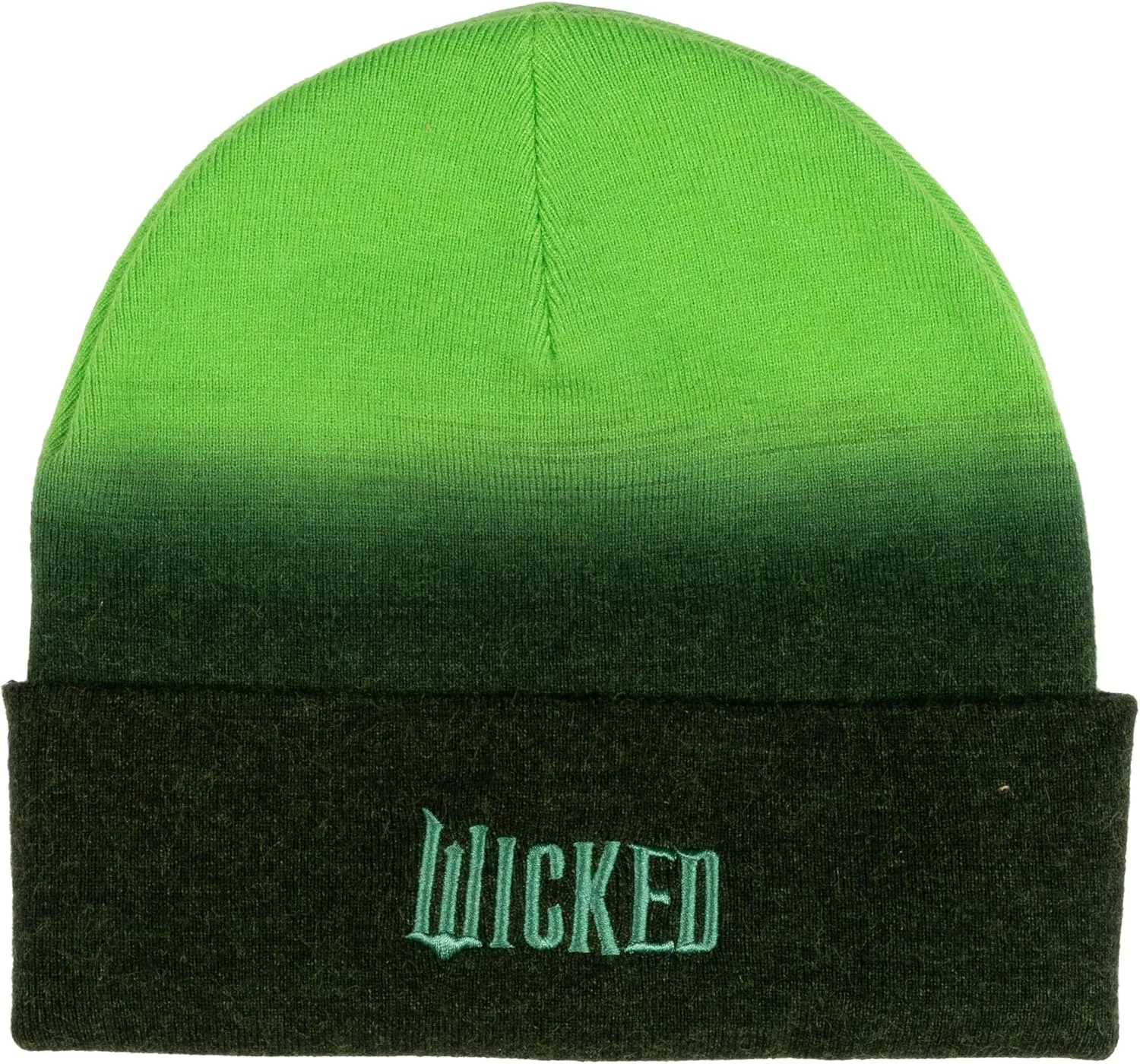 Novelty Winter Beanie