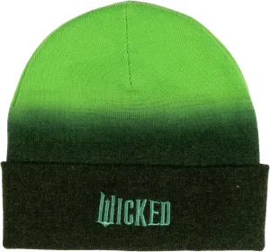 Novelty Winter Beanie