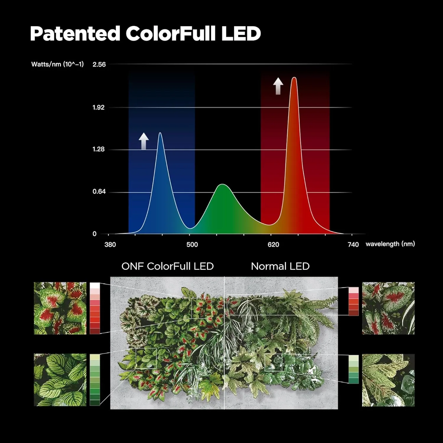 ONF Flat Nano Full Spectrum LED Aquarium Light, Dimmable 7000K / 1300lm, for <10 Gallons Rimless Fish Tanks, Aquatic Plant Growth, Terrarium Spotlight, Potted Plant IP54 Waterproof (Rose Gold)